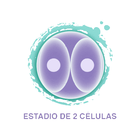 Sticker by Advanced Fertility Center Cancun