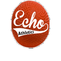 Echo Kickball Sticker by echoathletics