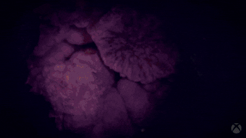 Grow Obsidian Entertainment GIF by Xbox