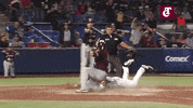 Celebration Baseball GIF by Club Tomateros