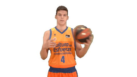 Liga Endesa Sport Sticker by ACB