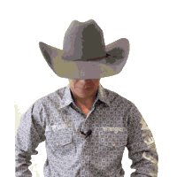 Monster Rodeo Sticker by Cuernos Chuecos Oficial