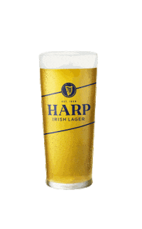 HarpLagerNI harp cold beer harp lager harp beer Sticker