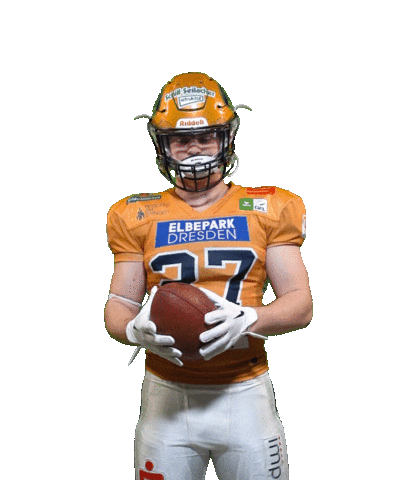 Football Sport Sticker by Dresden Monarchs