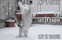 Let It Snow Cat GIF