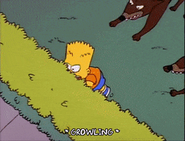 Season 2 GIF by The Simpsons