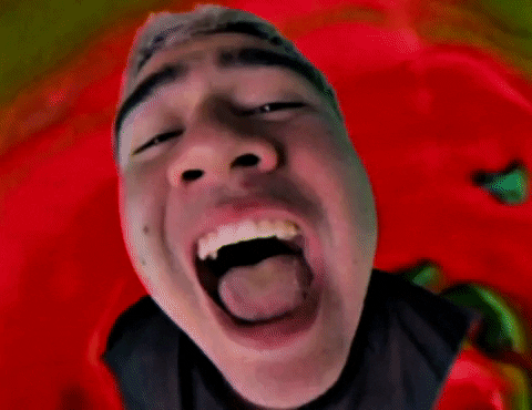 Wildflower GIF by 5 Seconds of Summer