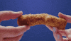 Hungry Cheese GIF by Walk-On's