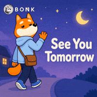 Crypto Seeyoutomorrow GIF by BONK