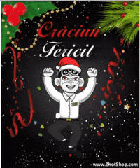 Craciun Fericit GIF by Zhot Shop
