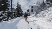 Snowboarding Winter Sports GIF by All-Round Champion