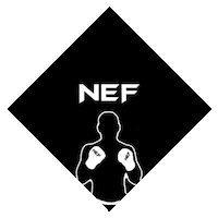 Mixed Martial Arts Mma Sticker by NEFights