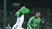 celebration goal GIF by AS Saint-Etienne