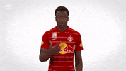 Red Bull Victory GIF by FC Red Bull Salzburg