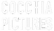 Director Sticker
