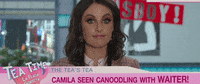 camilacabello liar camila cabello GIF
