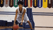 vwu_marlins marlins vwu wethebeach virginiawesleyan GIF