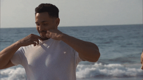 Beach Abc GIF by Bachelor in Paradise