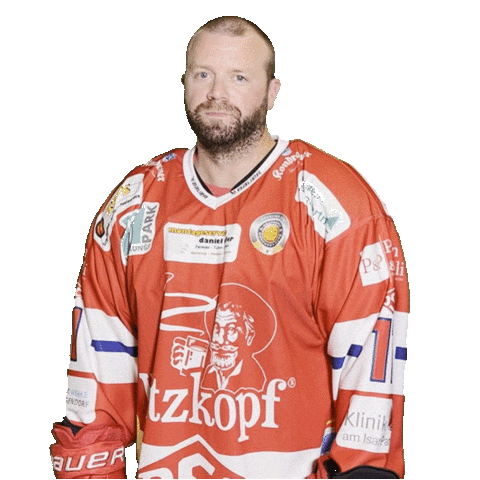 Hockey Sticker by dsc-eishockey