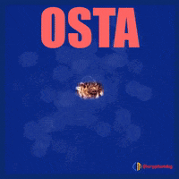 Bitcoin Cryptocurrency GIF by Crypto Marketing