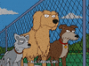 Mean Episode 14 GIF by The Simpsons