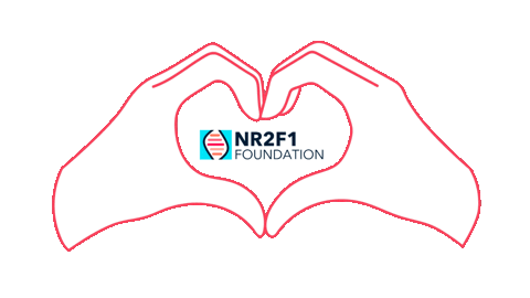 NR2F1Foundation bbsoas nr2f1 Sticker