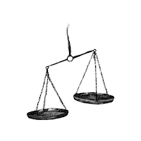 MarieWelke3 scale weigh Sticker