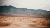 jonroberthall adventure driving desert road trip GIF