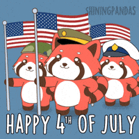Celebrate 4Th Of July GIF