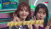 웬디 GIF