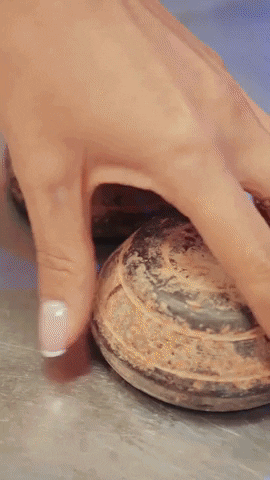 vibraco giphyupload GIF