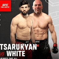 Fight Ufc GIF