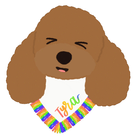 Toy Poodle Lol Sticker