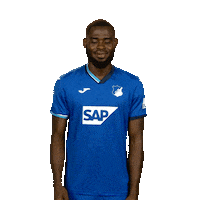 Tsg Hoffenheim Hello Sticker by Bundesliga