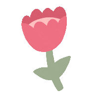 The Flower Sticker by Studio Jonesie