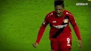 bayer 04 leverkusen bundesliga GIF