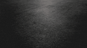 Mcleod GIF by TeamLethal