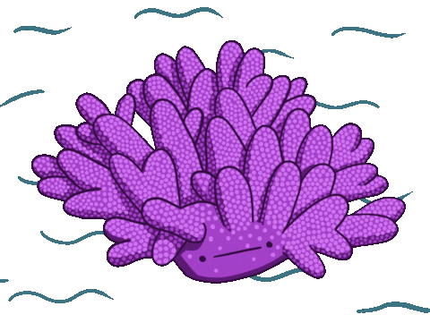 Sad Coral Sticker