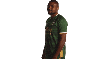 Portland Timbers Mls Sticker by Timbers