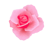 Flower Rose Sticker by Vital Life UK