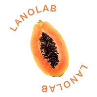 Papaya Natural Skincare Sticker by lanolab