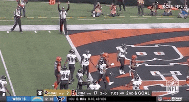 Cincinnati Bengals Football GIF by NFL