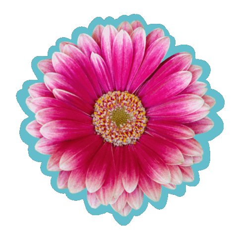 Flower Sticker by DC Urban Living