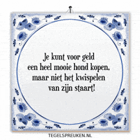 Humor Nl GIF by Tegelspreuken.nl