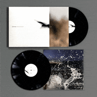 Yann Tiersen Vinyl GIF by Mute Records