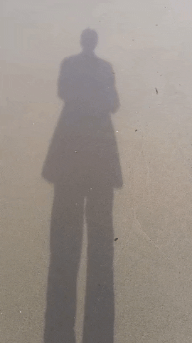 Simongip giphyupload GIF