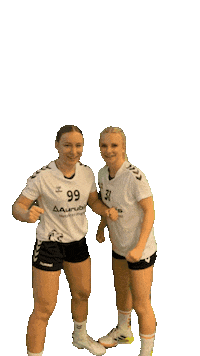 Lsv Sticker by Luener SV Handball