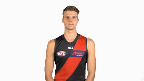 essendonfc giphyupload bombers dons ridley GIF