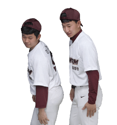 In Love Sticker by Kiwoom Heroes Baseball Club