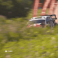 Full Throttle Car GIF by FIA World Rally Championship
